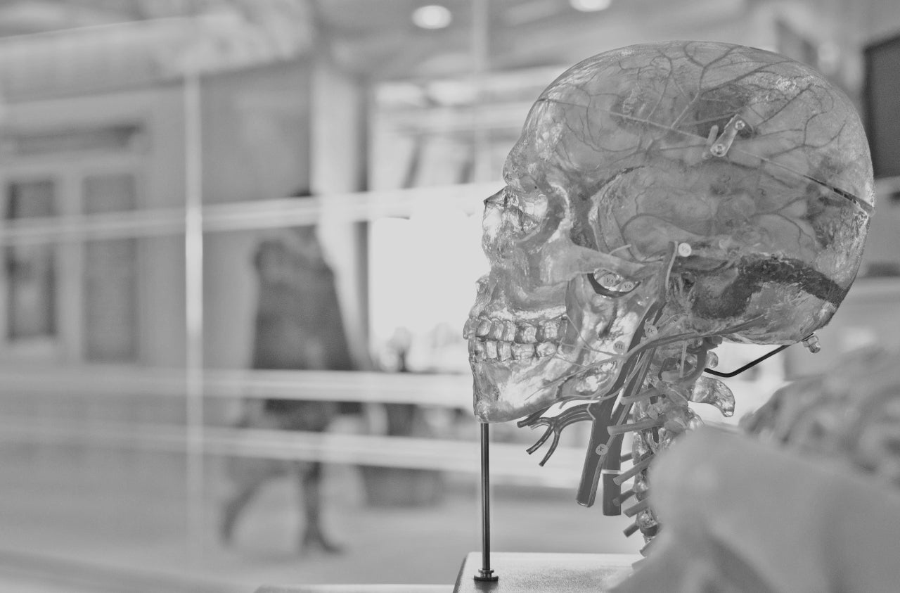 Curious about the mind and body?