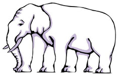 Elephant Literal optical illusion feet trunk